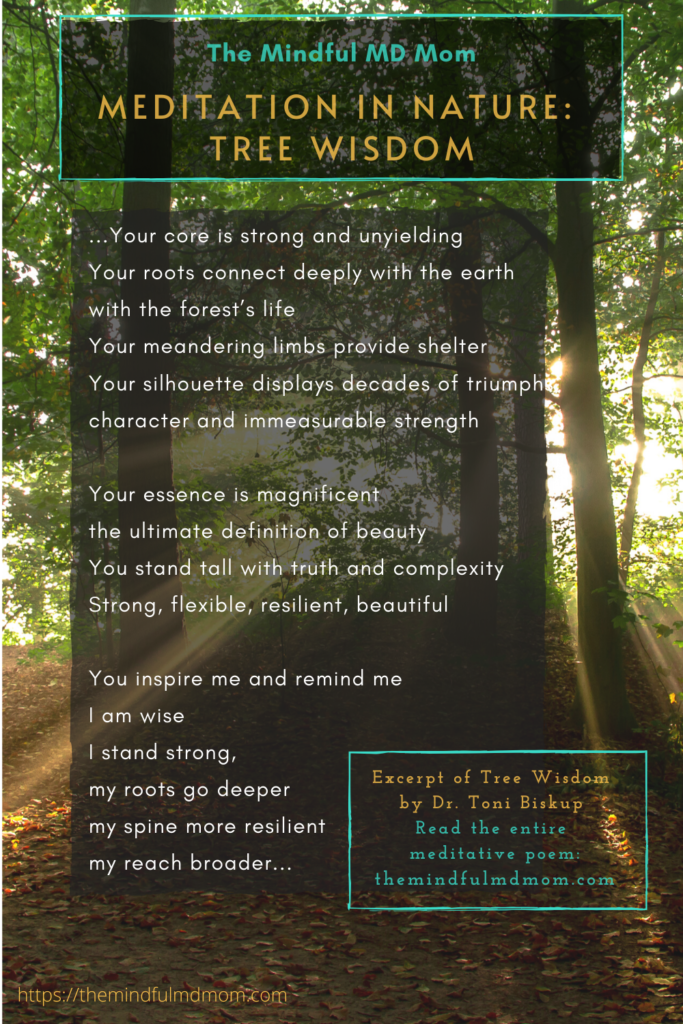 Dr. Toni Biskup, contributing author at The Mindful MD Mom blog, #meditation #nature #treewisdom #mindfulmeditation #naturemediation #stressreduction #aging #lifelessons #wisdom #mindfulmeditation #selflove #selfcompassion