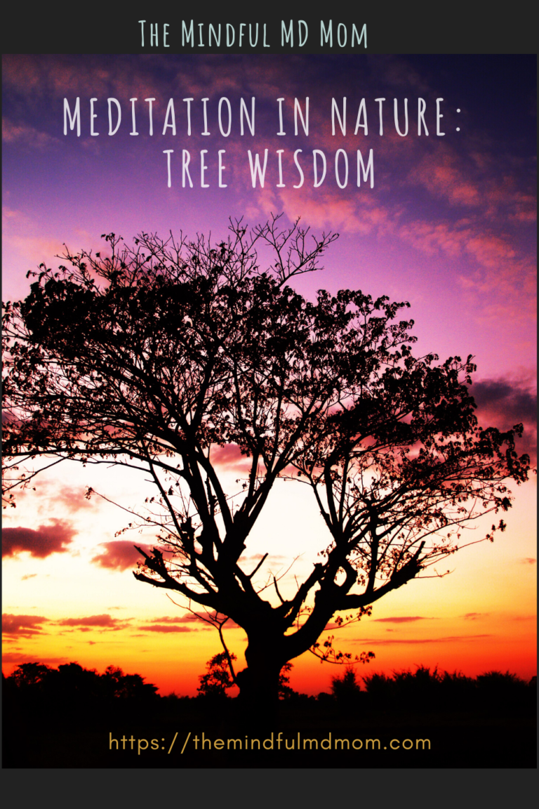 Meditation in Nature: Tree Wisdom - Mindful MD Mom